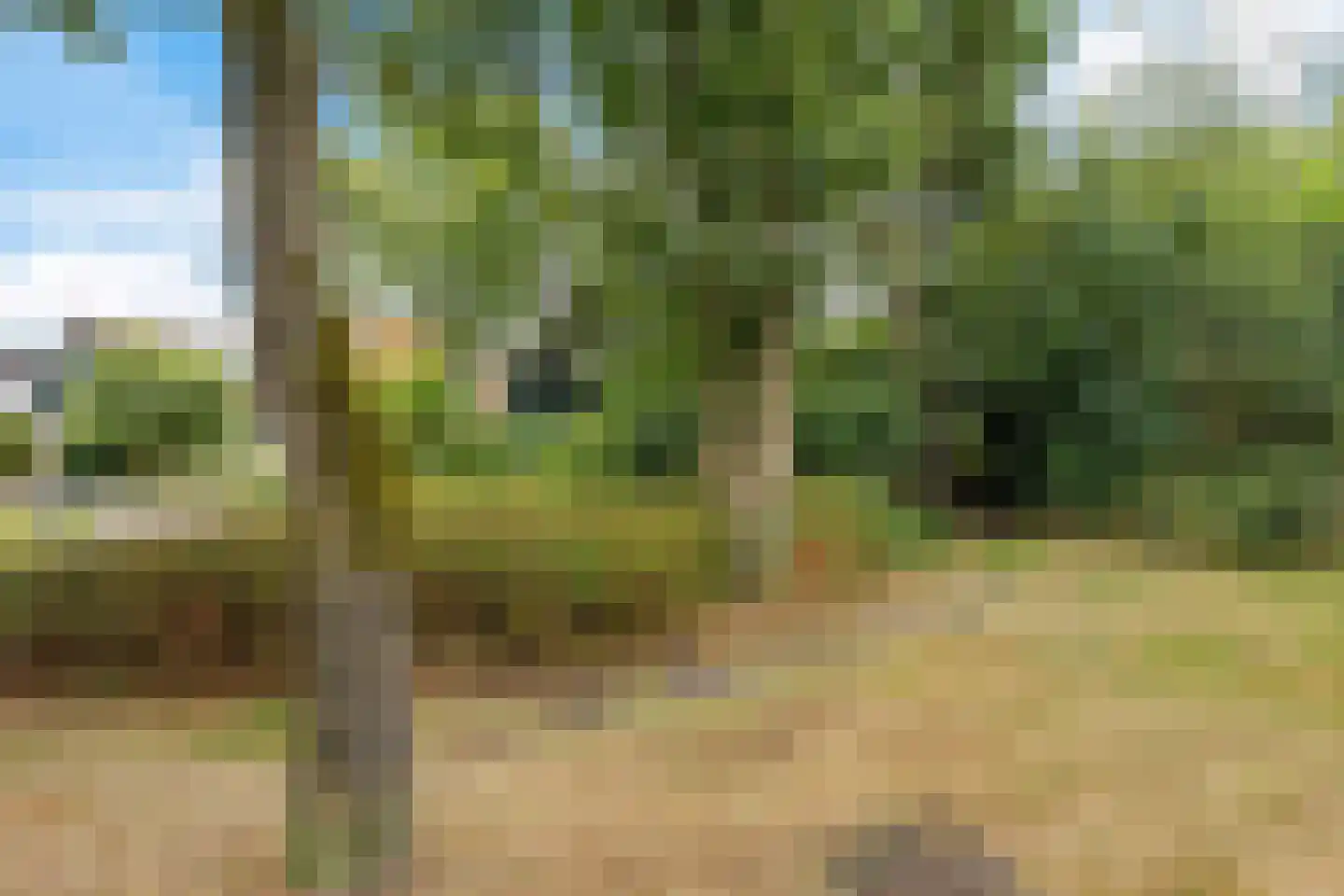 Van Heemstrastrjitte 10 Balk thumbnail 40