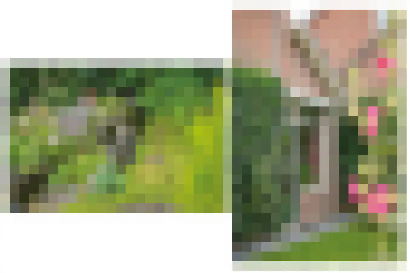 van Heemstraweg 112 Wamel thumbnail 39