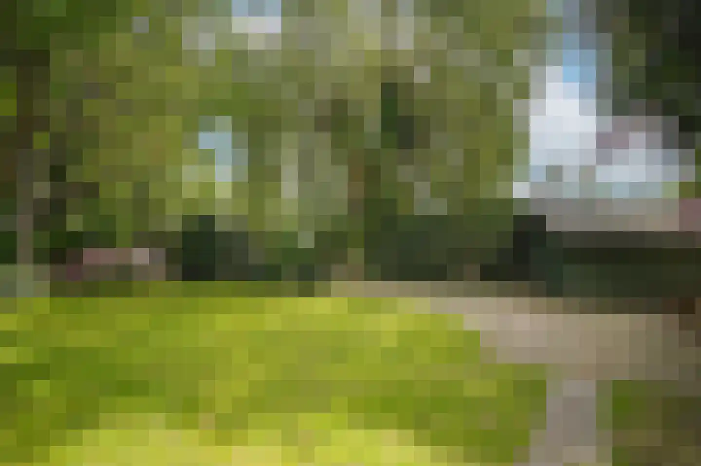 van Heemstraweg 112 Wamel thumbnail 4