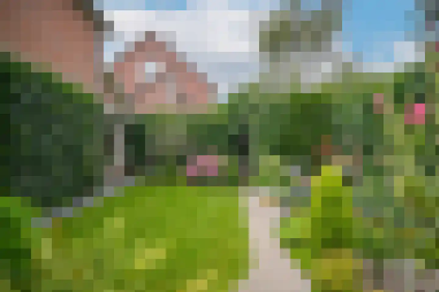 van Heemstraweg 112 Wamel thumbnail 40