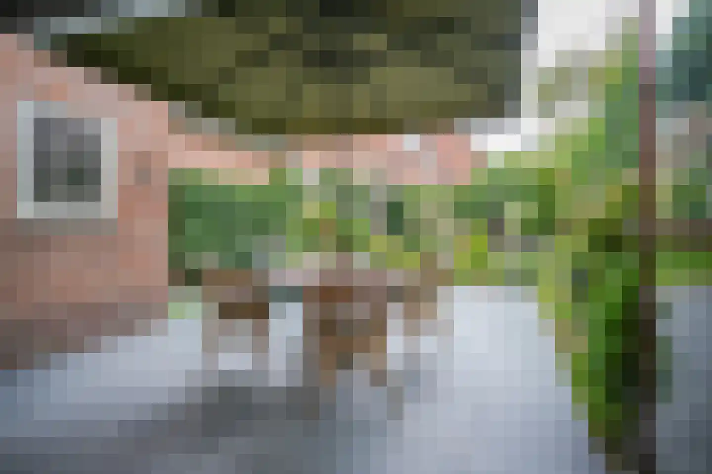 van Heemstraweg 112 Wamel thumbnail 42