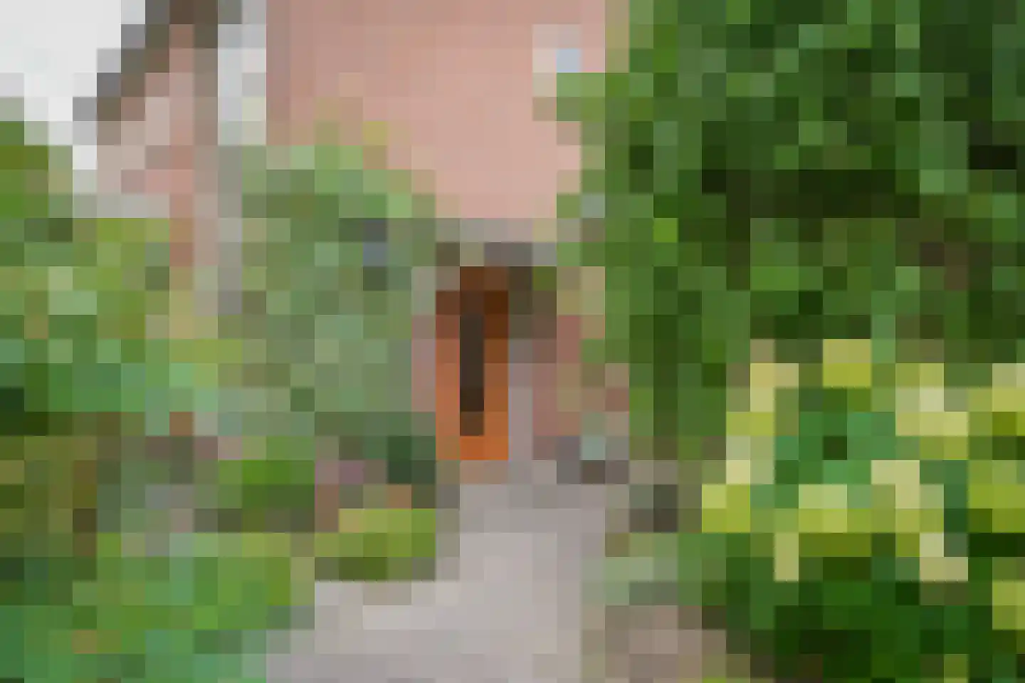 van Heemstraweg 112 Wamel thumbnail 44