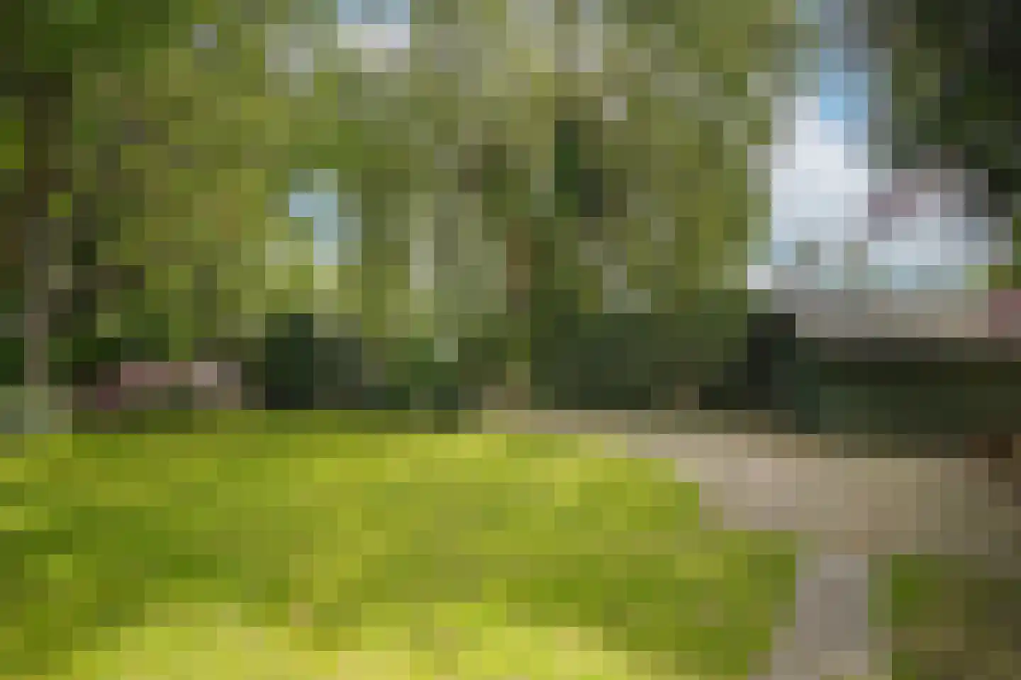 van Heemstraweg 112 Wamel thumbnail 49