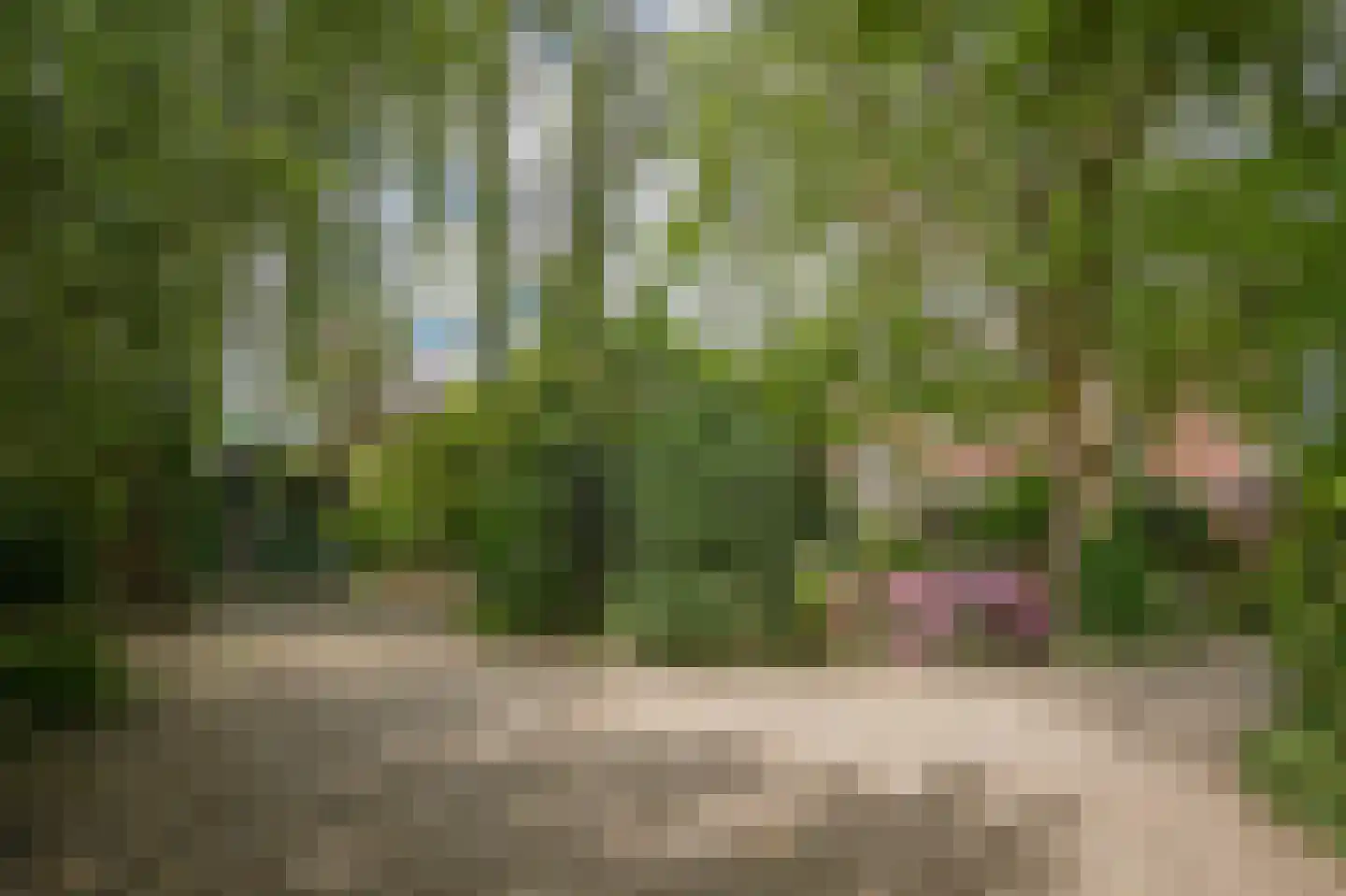 van Heemstraweg 112 Wamel thumbnail 51