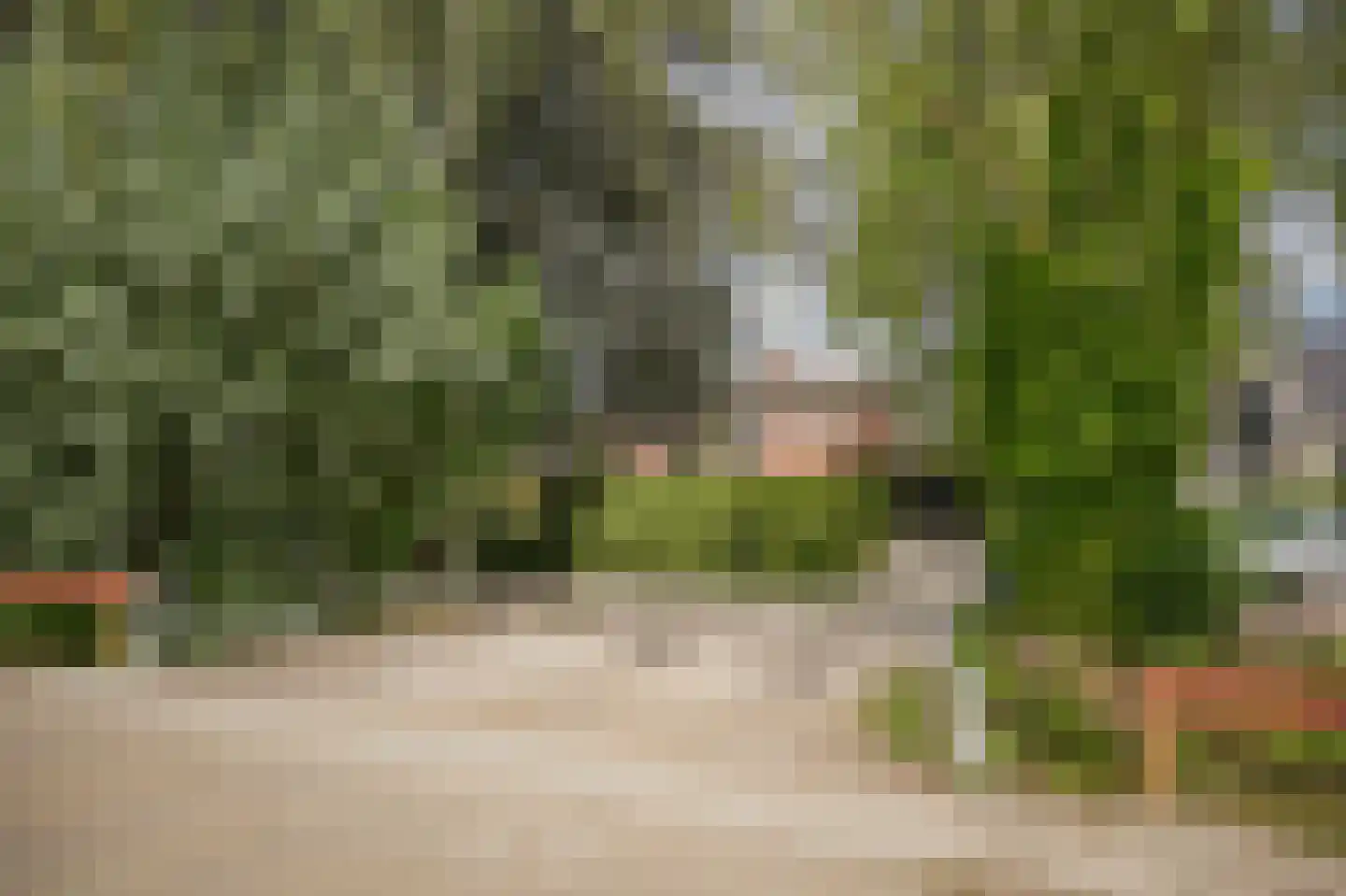 van Heemstraweg 112 Wamel thumbnail 52