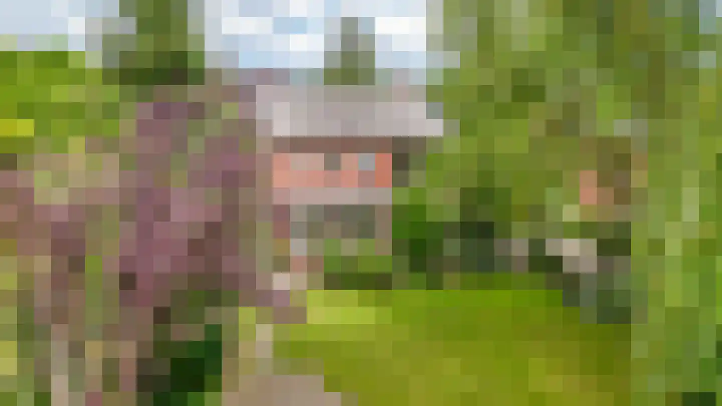 van Heemstraweg 112 Wamel thumbnail 55