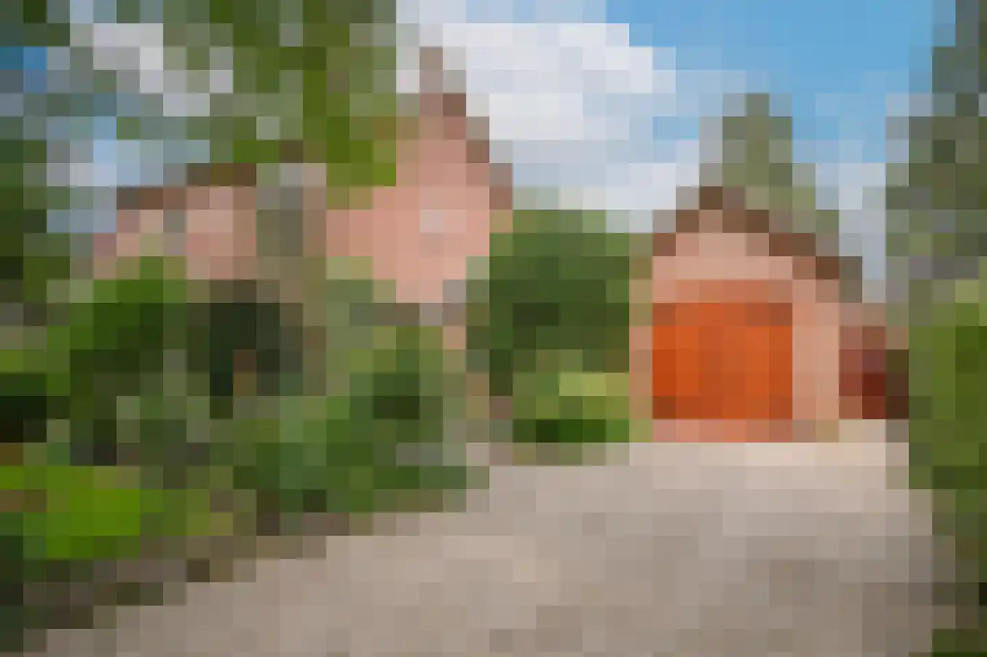 van Heemstraweg 112 Wamel thumbnail 6