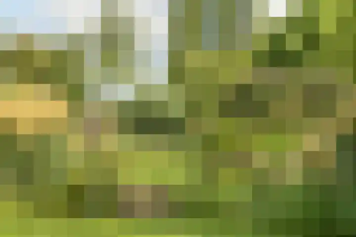 van Heemstraweg 12 Boven-Leeuwen thumbnail 16