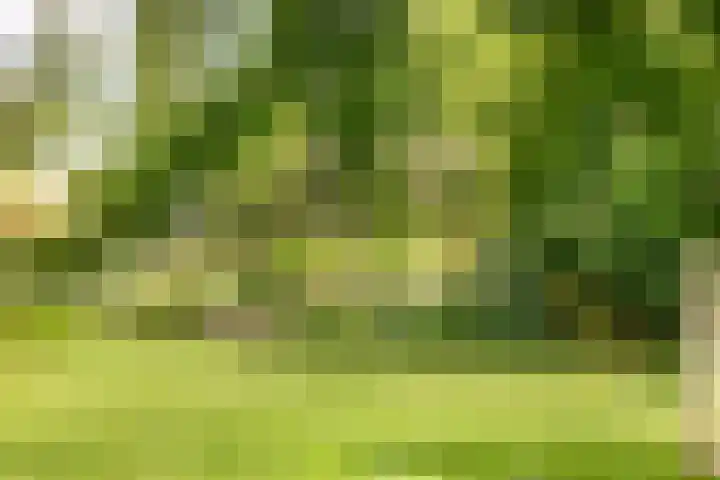 van Heemstraweg 12 Boven-Leeuwen thumbnail 17