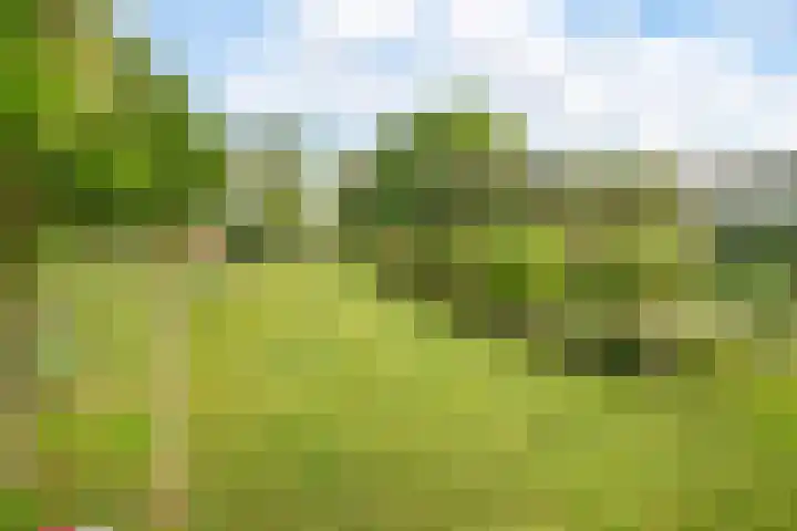 van Heemstraweg 12 Boven-Leeuwen thumbnail 18