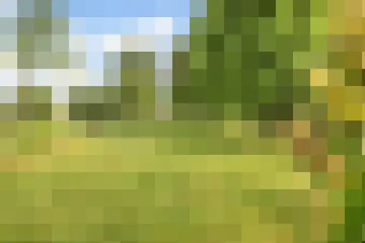 van Heemstraweg 12 Boven-Leeuwen thumbnail 19