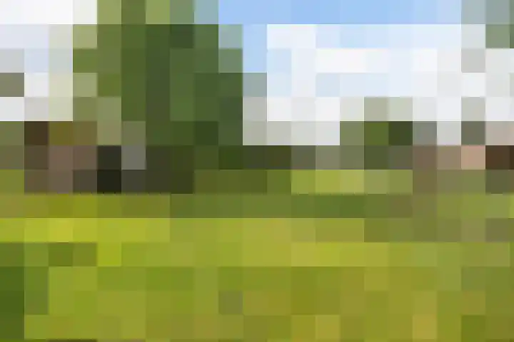 van Heemstraweg 12 Boven-Leeuwen thumbnail 20