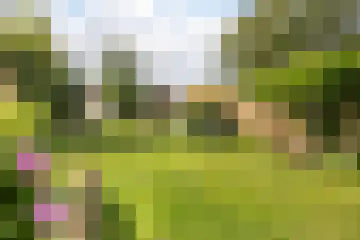 van Heemstraweg 12 Boven-Leeuwen thumbnail 21