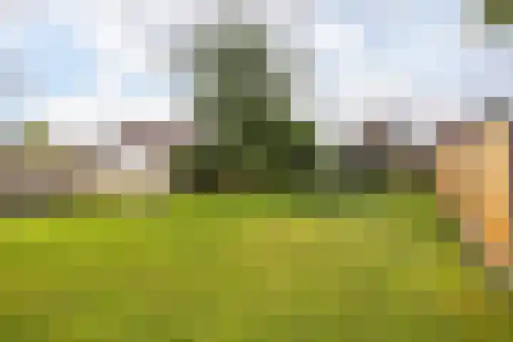 van Heemstraweg 12 Boven-Leeuwen thumbnail 22