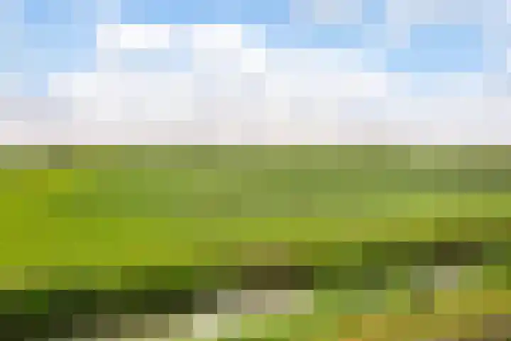 van Heemstraweg 12 Boven-Leeuwen thumbnail 23