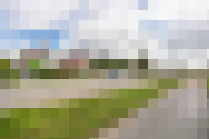 van Heemstraweg 12 Boven-Leeuwen thumbnail 35