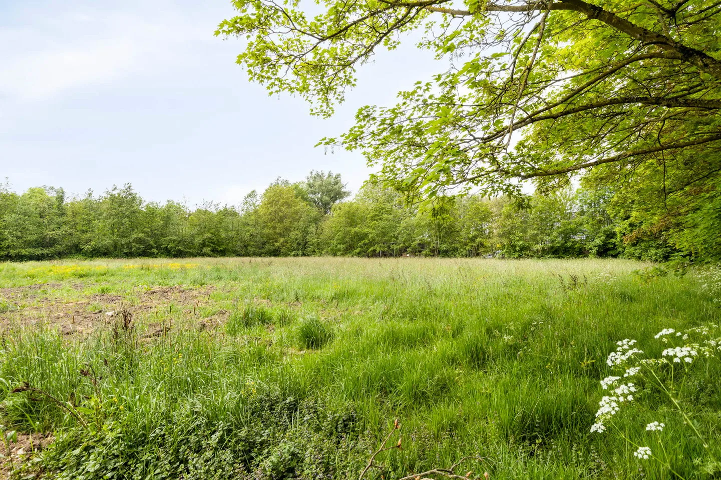 Van Heemstraweg 14 b Deest thumbnail 7