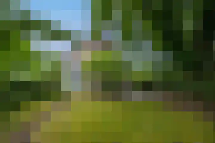 van Heemstraweg 23 Ewijk thumbnail 53