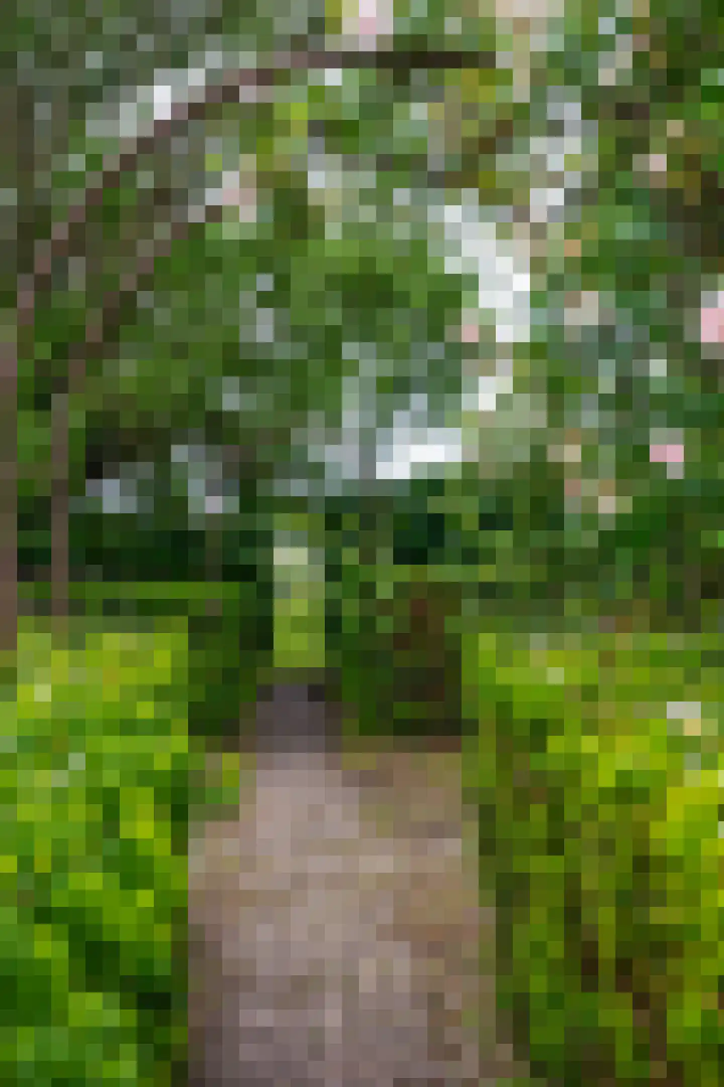 van Heemstraweg 3 Ewijk thumbnail 29