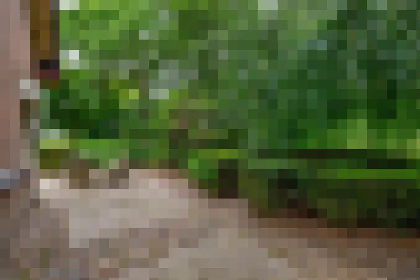 van Heemstraweg 3 Ewijk thumbnail 31