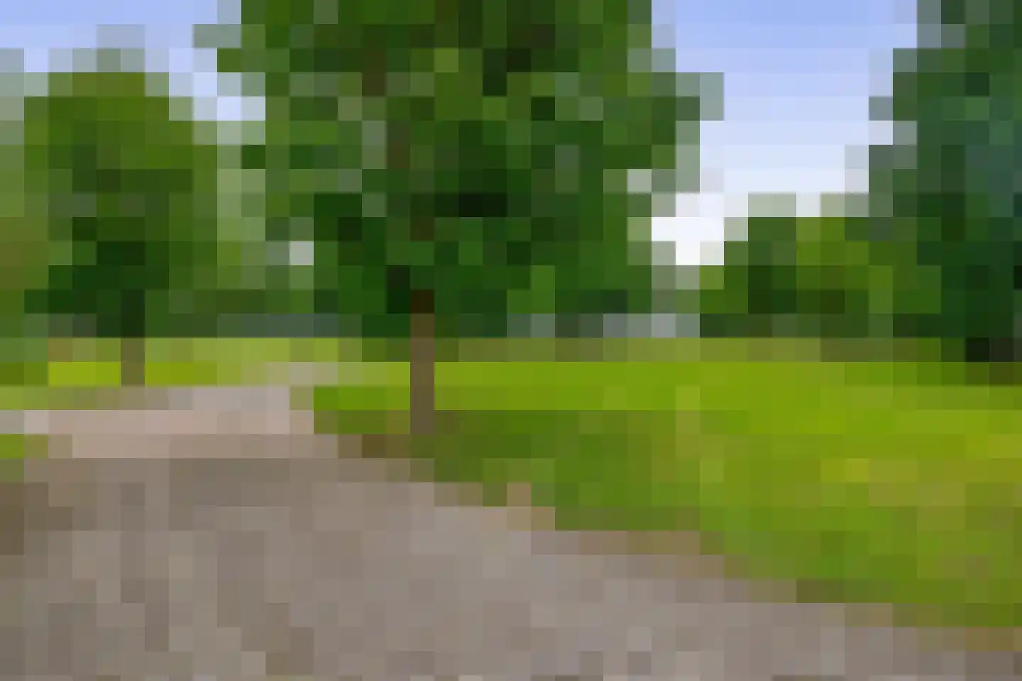 van Heemstraweg 3 Ewijk thumbnail 33
