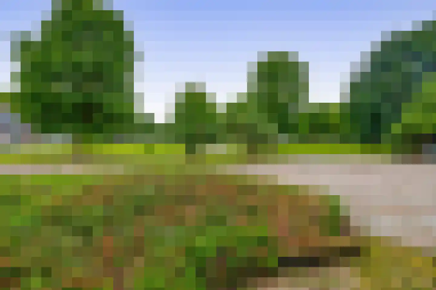 van Heemstraweg 3 Ewijk thumbnail 34