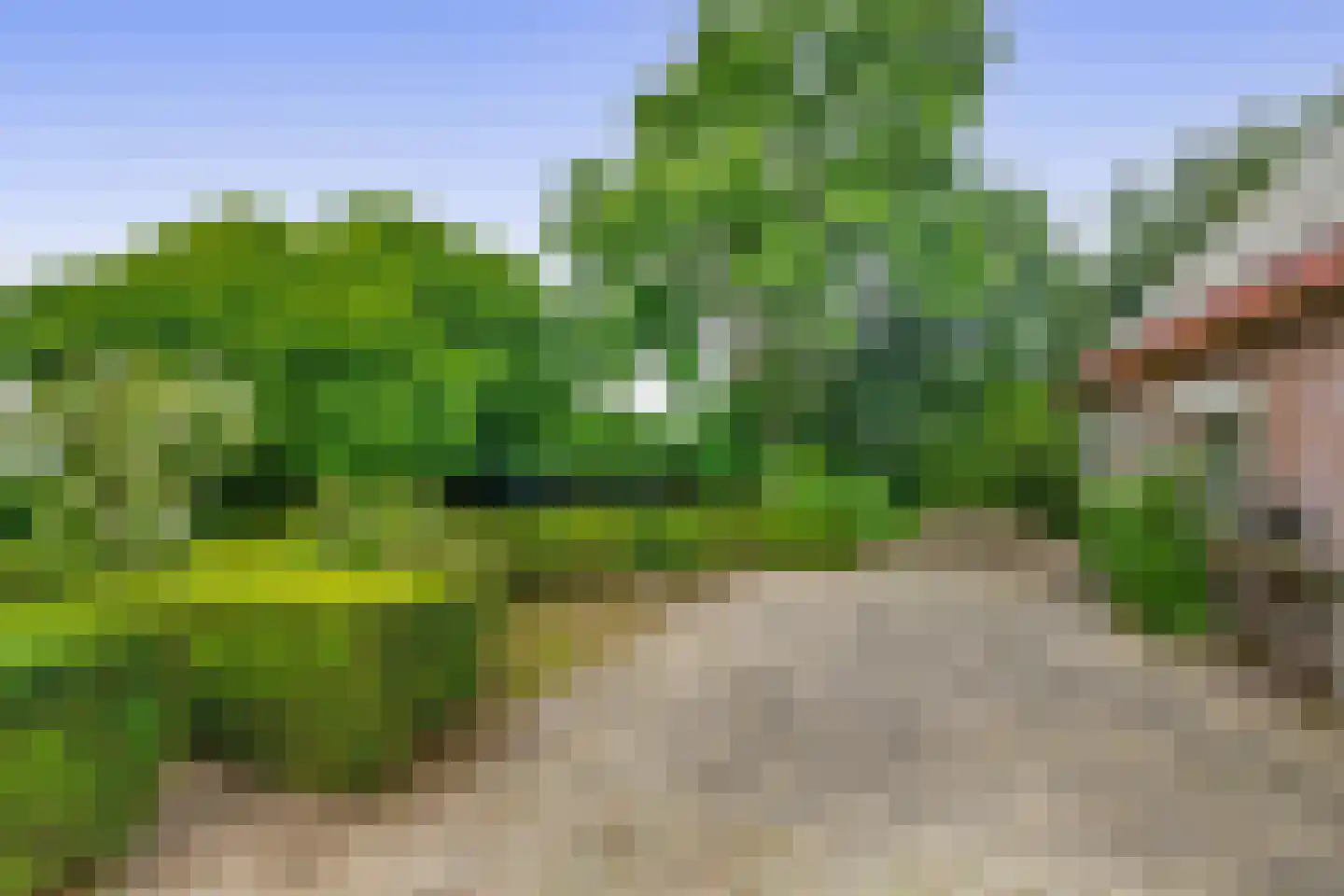 van Heemstraweg 3 Ewijk thumbnail 35