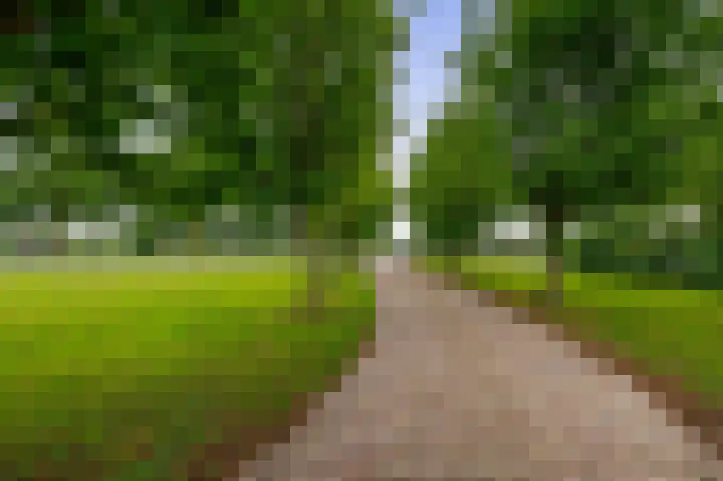 van Heemstraweg 3 Ewijk thumbnail 36