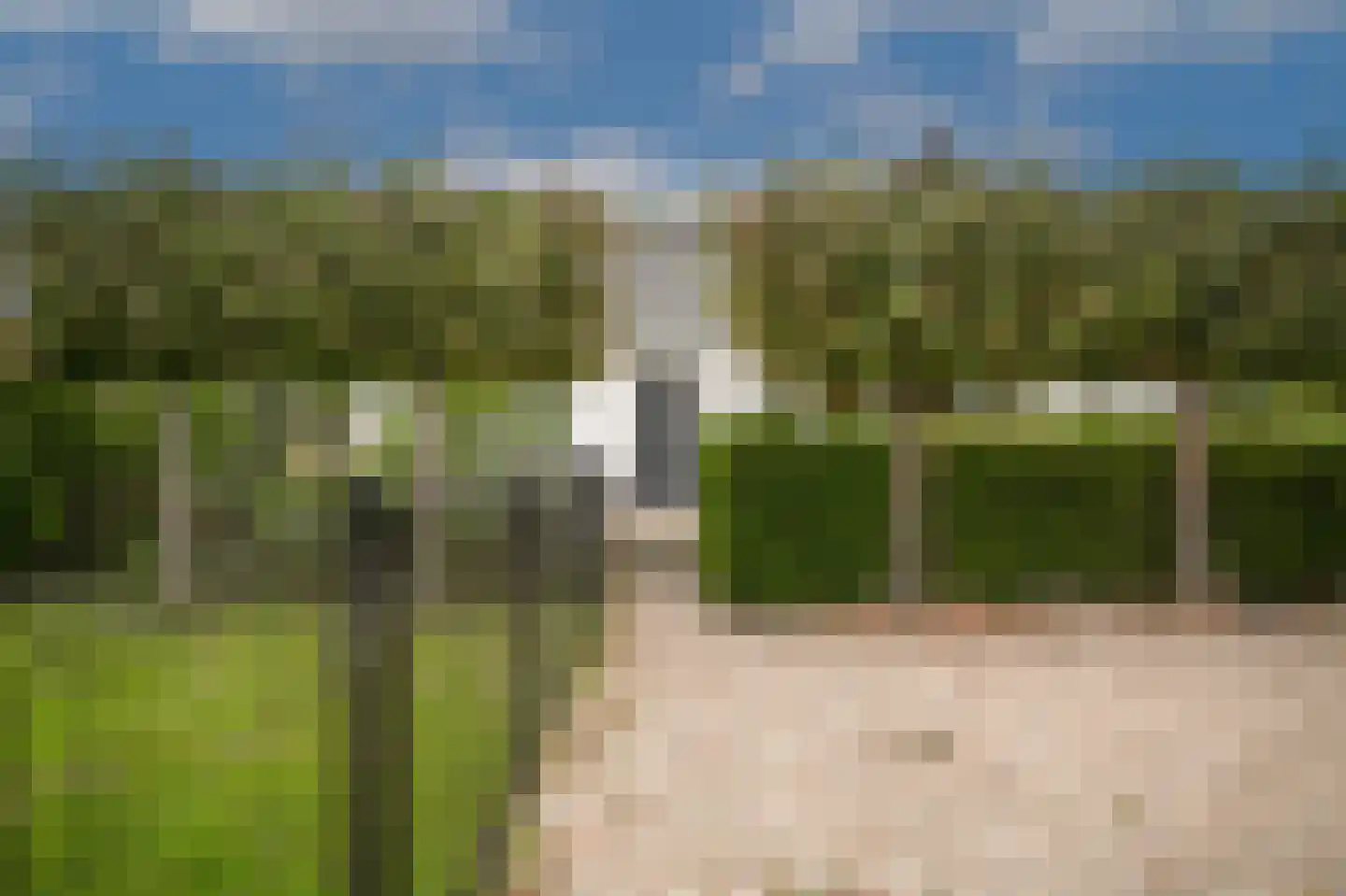 van Heemstraweg 3 Heerewaarden thumbnail 13
