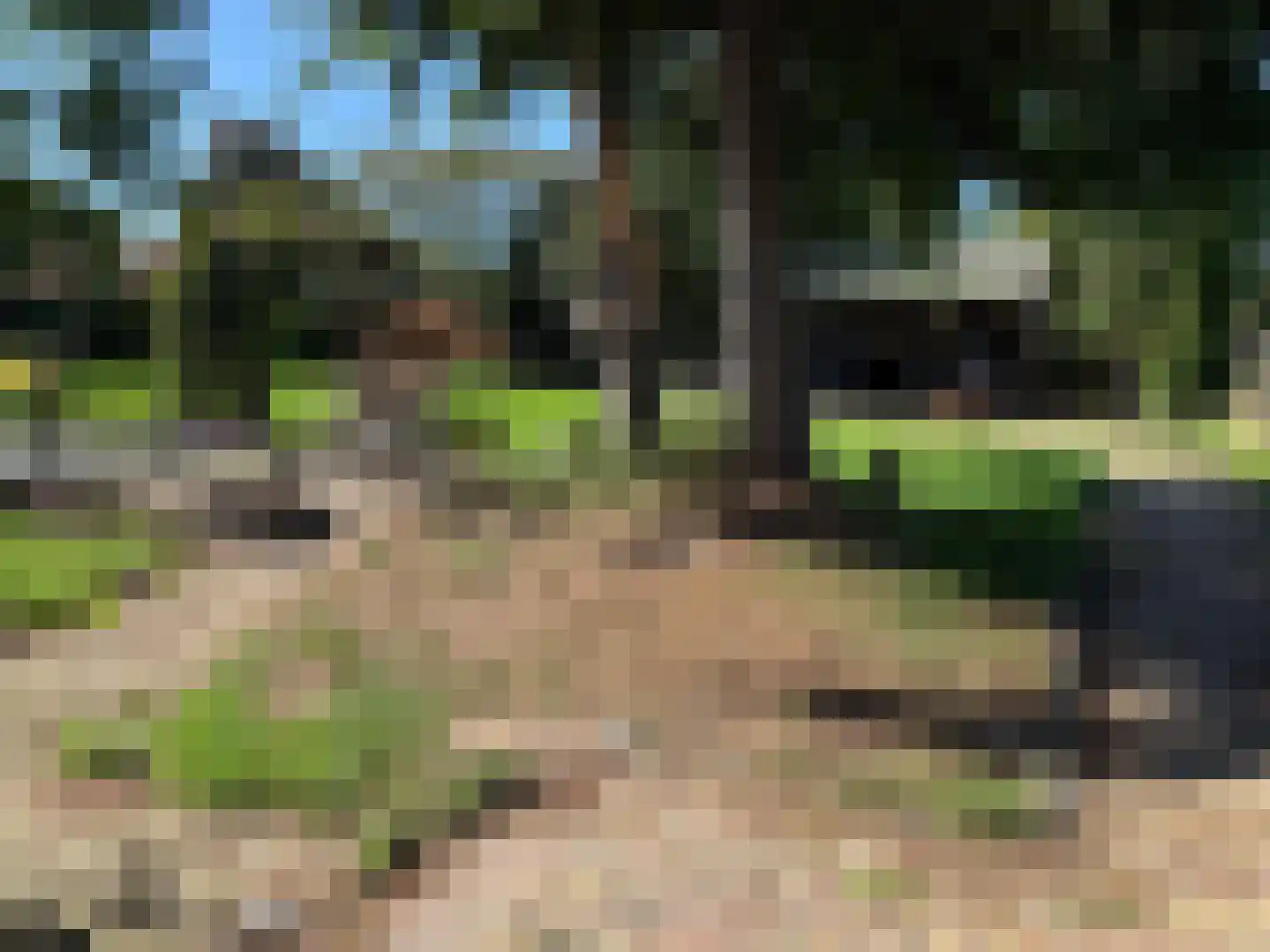 van Heemstraweg 3 Heerewaarden thumbnail 65