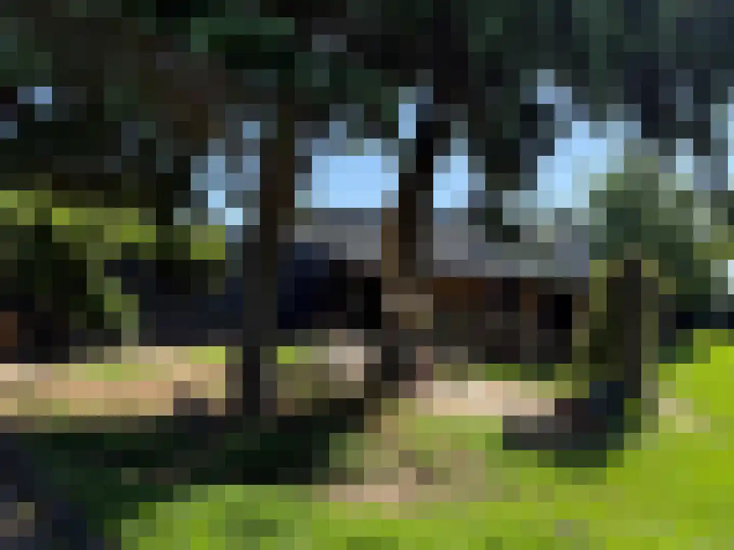 van Heemstraweg 3 Heerewaarden thumbnail 66
