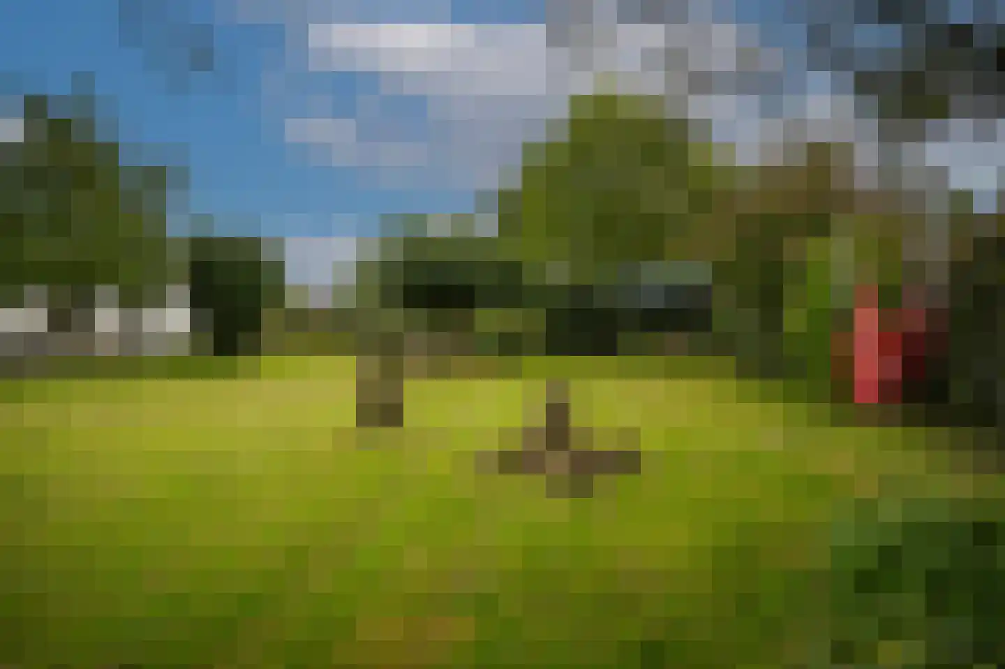 van Heemstraweg 3 Heerewaarden thumbnail 70