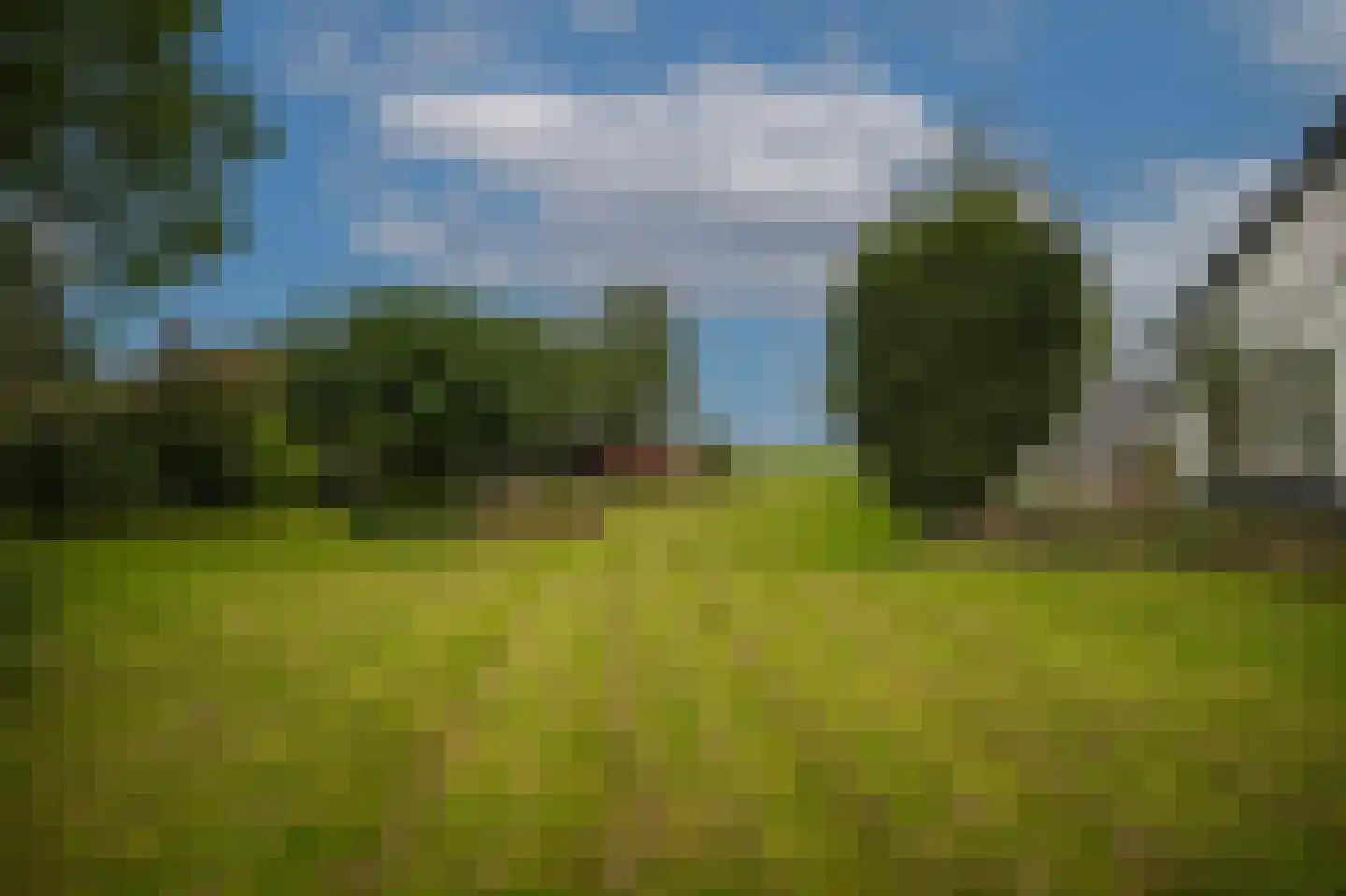 van Heemstraweg 3 Heerewaarden thumbnail 74