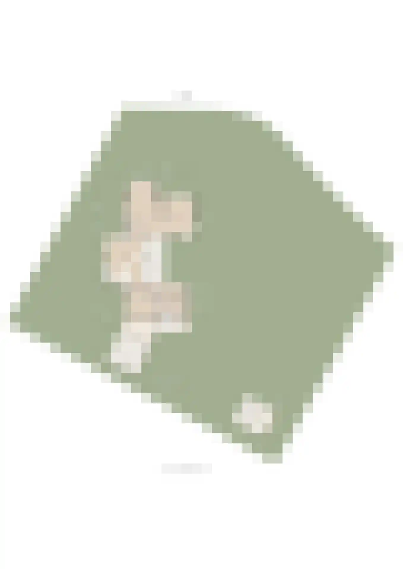 van Heemstraweg 3 Heerewaarden thumbnail 86
