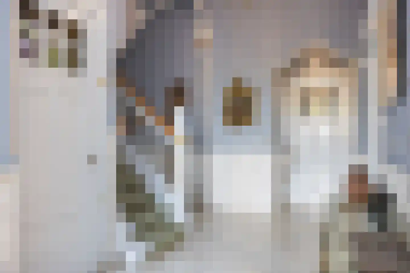 van Heemstraweg 58 Beuningen Gld thumbnail 13