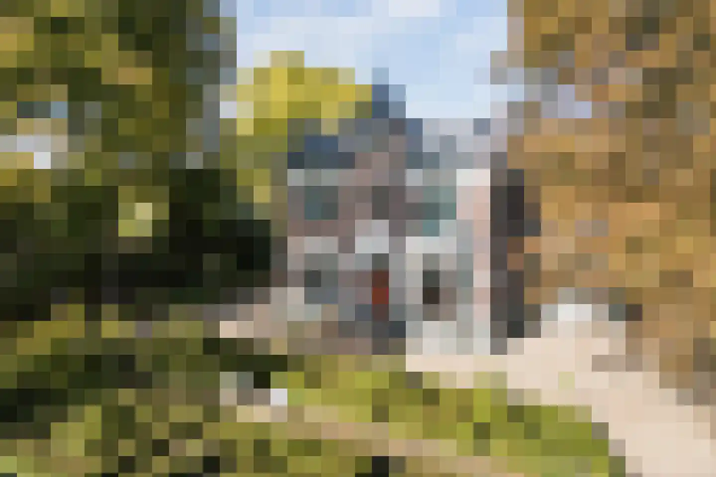 van Heemstraweg 58 Beuningen Gld thumbnail 4