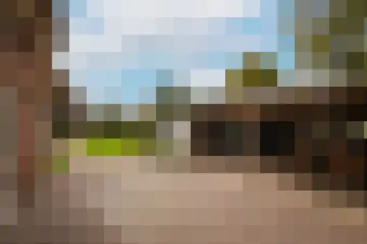 Van Heemstraweg 62 Druten thumbnail 35
