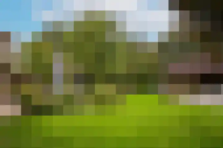 Van Heemstraweg 62 Druten thumbnail 36