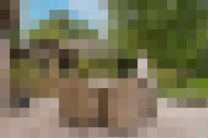 Van Heemstraweg 62 Druten thumbnail 39