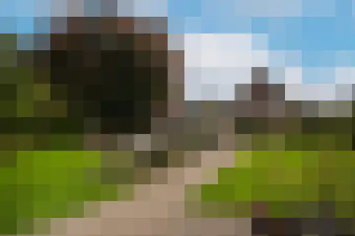 Van Heemstraweg 62 Druten thumbnail 4