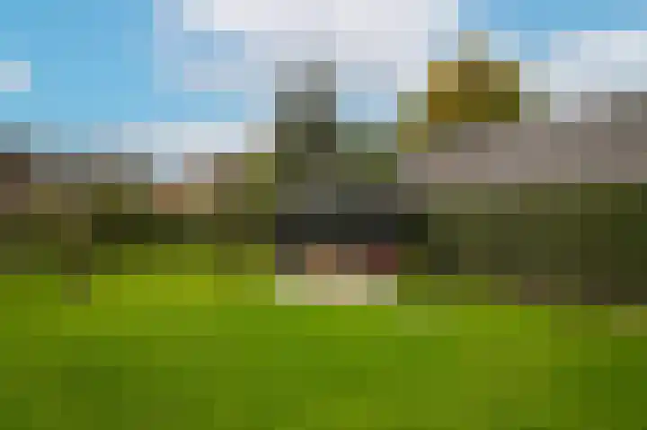 Van Heemstraweg 62 Druten thumbnail 43