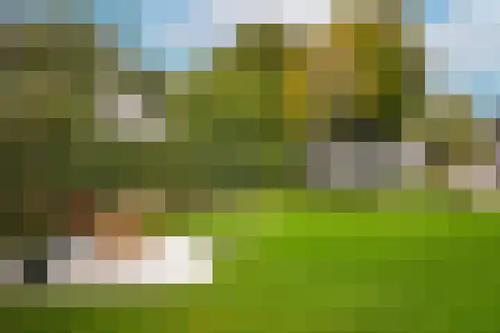 Van Heemstraweg 62 Druten thumbnail 44