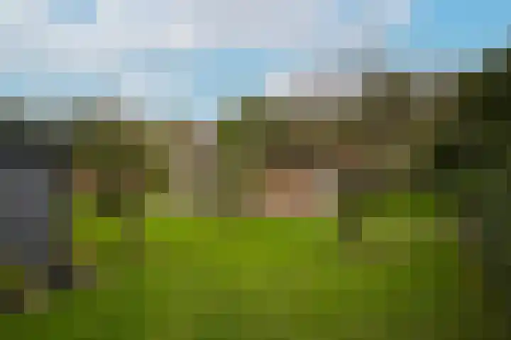 Van Heemstraweg 62 Druten thumbnail 45