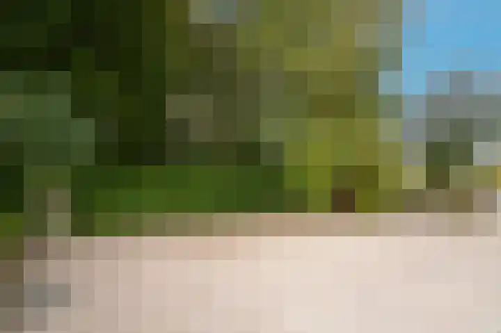 Van Heemstraweg 62 Druten thumbnail 47