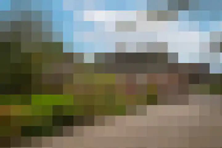 Van Heemstraweg 62 Druten thumbnail 5