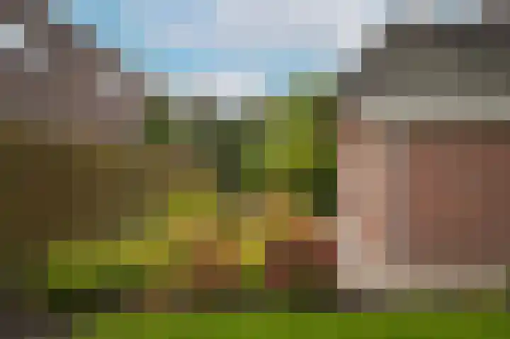 Van Heemstraweg 62 Druten thumbnail 51