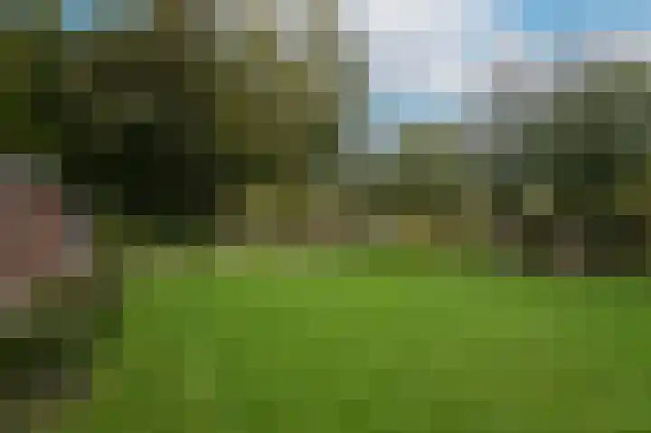 Van Heemstraweg 62 Druten thumbnail 53