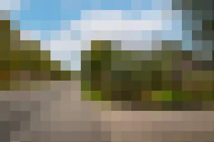 Van Heemstraweg 62 Druten thumbnail 57