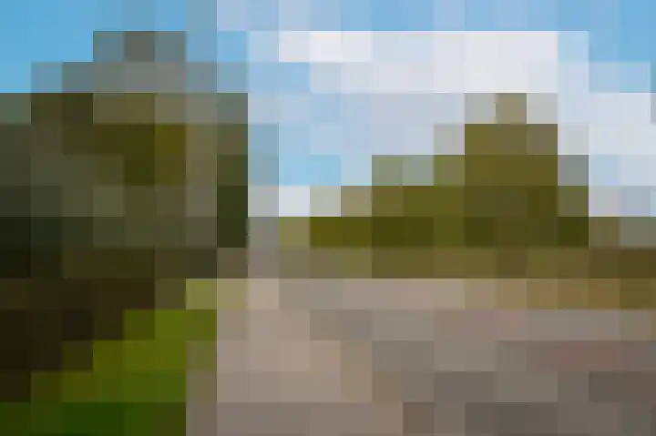 Van Heemstraweg 62 Druten thumbnail 58