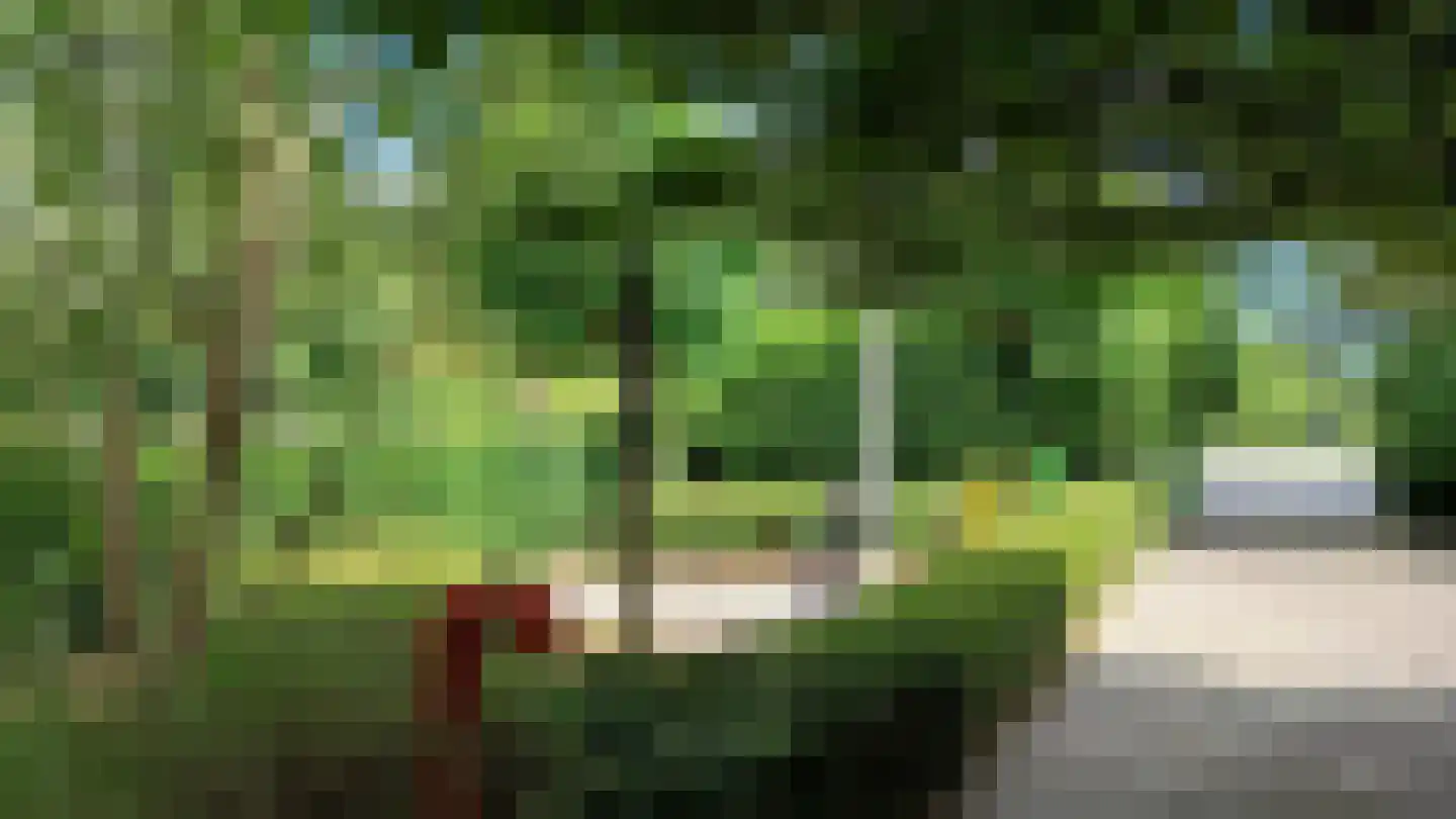 van Heemstraweg 64 a Beneden-Leeuwen thumbnail 4